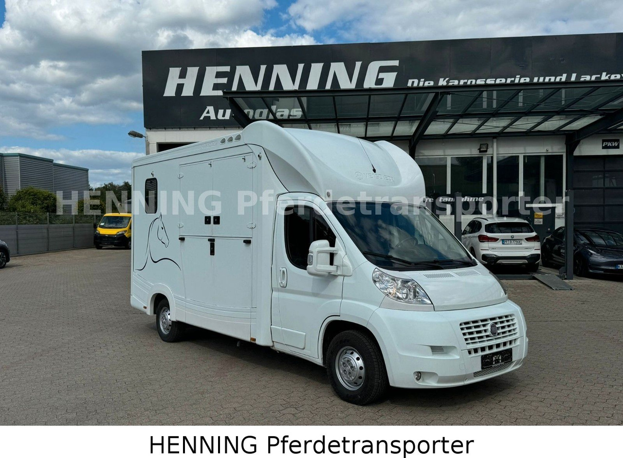 Fiat Ducato 3-Sitzer - Камион за коне, Лекотоварен автомобил: снимка 1 Fiat Ducato 3-Sitzer - Камион за коне, Лекотоварен автомобил: снимка 1