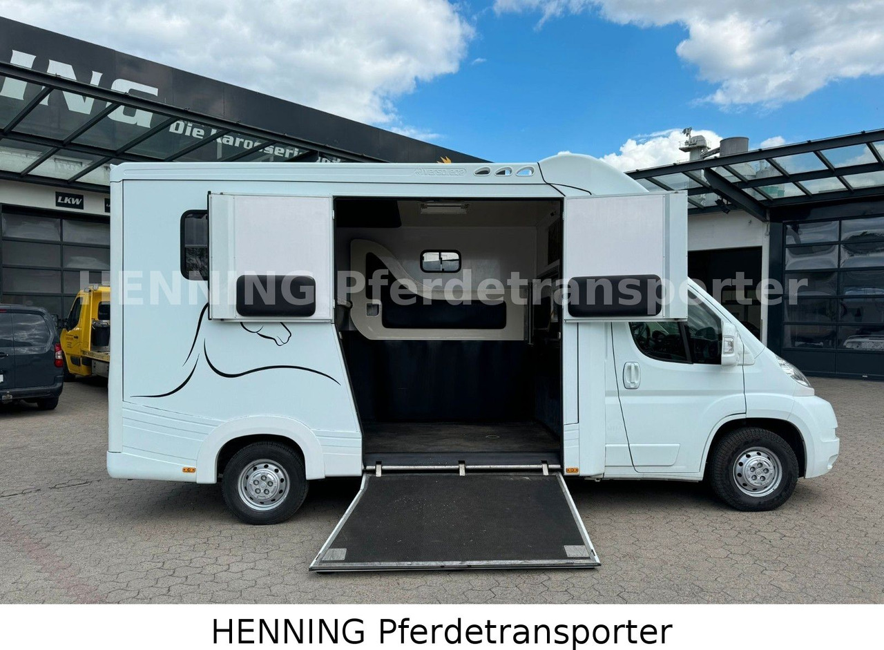 Fiat Ducato 3-Sitzer - Камион за коне, Лекотоварен автомобил: снимка 4 Fiat Ducato 3-Sitzer - Камион за коне, Лекотоварен автомобил: снимка 4