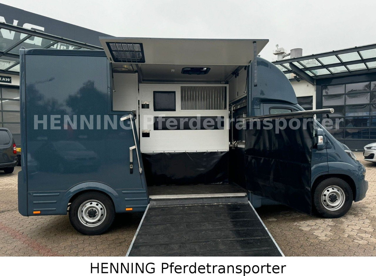 Fiat Ducato *AUTOMATIK* 3 - Sitzer - За превоз на животни камион: снимка 4 Fiat Ducato *AUTOMATIK* 3 - Sitzer - За превоз на животни камион: снимка 4