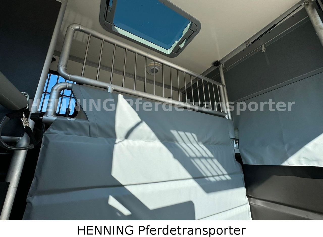 Лизинг на Nissan Interstar 3 - Sitzer Nissan Interstar 3 - Sitzer: снимка 9 Лизинг на Nissan Interstar 3 - Sitzer Nissan Interstar 3 - Sitzer: снимка 9