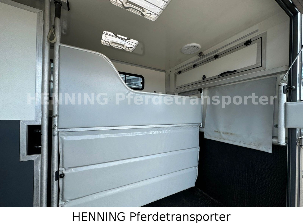 Renault 3-Sitzer - Камион за коне, Лекотоварен автомобил: снимка 4 Renault 3-Sitzer - Камион за коне, Лекотоварен автомобил: снимка 4