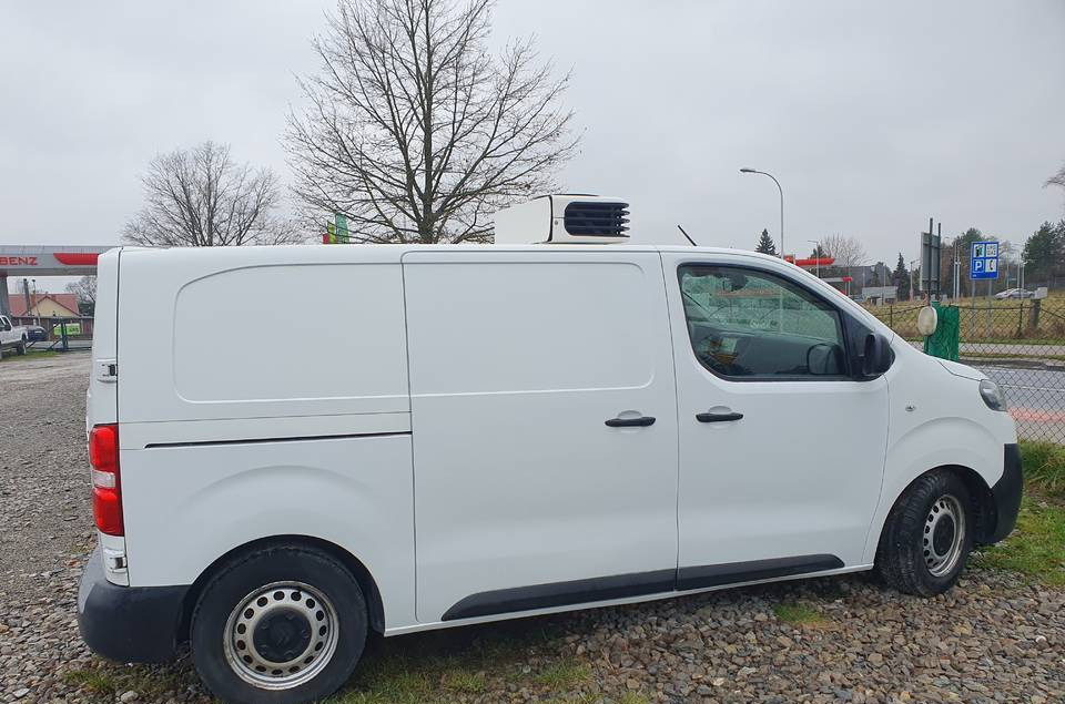 Citroen JUMPY CHLODNIA MROZNIA CARRIER+230V KLIMA EURO6 - Хладилен бус: снимка 5 Citroen JUMPY CHLODNIA MROZNIA CARRIER+230V KLIMA EURO6 - Хладилен бус: снимка 5