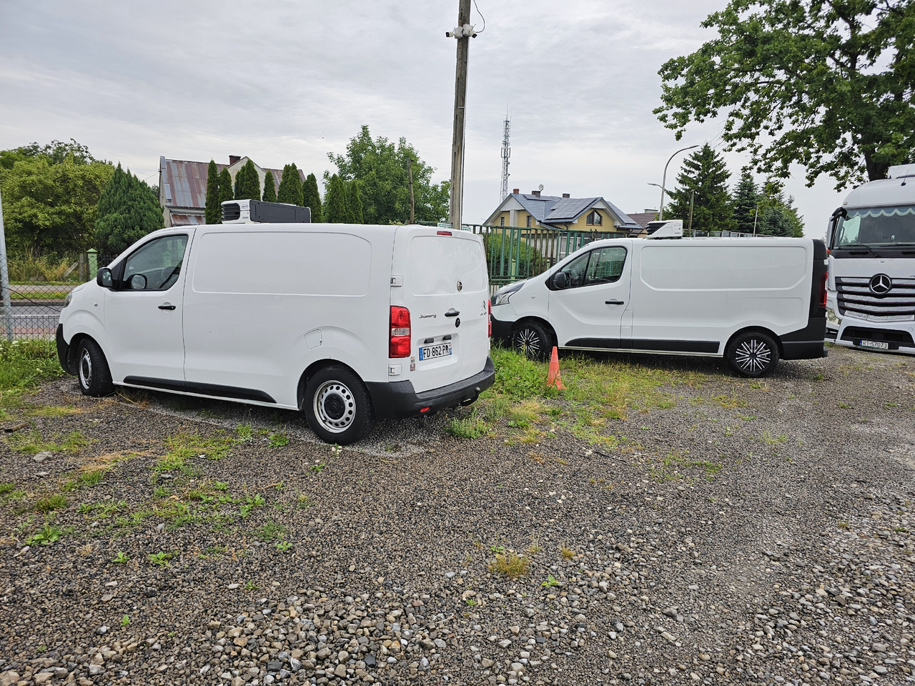 PEUGEOT Expert CHLODNIA THERMOKING KLIMA EURO6 - Хладилен бус: снимка 3 PEUGEOT Expert CHLODNIA THERMOKING KLIMA EURO6 - Хладилен бус: снимка 3