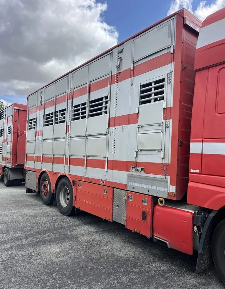 DAF XF 460 + Przyczepa Pezzaoli - 3X Trzoda, 2 X Bydło I 3 poziomy I Podnoszony dach I Hydroburta I Osie Skrętne I Poidła I Wentylatory I Pilot Manualny | Euro5 - За превоз на животни камион: снимка 5 DAF XF 460 + Przyczepa Pezzaoli - 3X Trzoda, 2 X Bydło I 3 poziomy I Podnoszony dach I Hydroburta I Osie Skrętne I Poidła I Wentylatory I Pilot Manualny | Euro5 - За превоз на животни камион: снимка 5