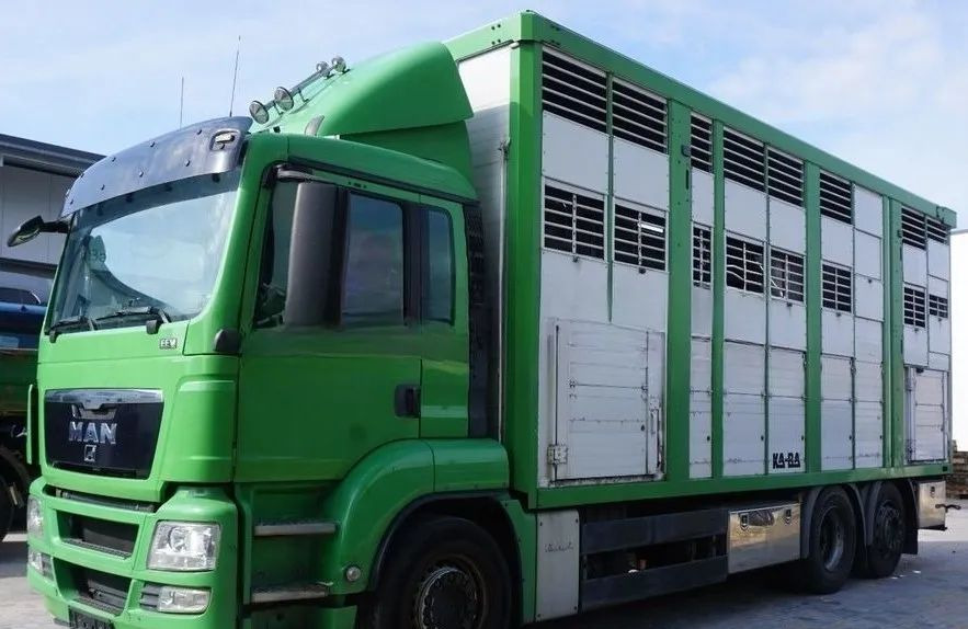MAN TGS 26.440 ZABUDOWA KABA CAŁA ALUMINIOWA– samochód do transportu zwierząt/koni – 3 pokłady / EURO 5/6X2/PODNOSZONY DACH - За превоз на животни камион: снимка 1 MAN TGS 26.440 ZABUDOWA KABA CAŁA ALUMINIOWA– samochód do transportu zwierząt/koni – 3 pokłady / EURO 5/6X2/PODNOSZONY DACH - За превоз на животни камион: снимка 1