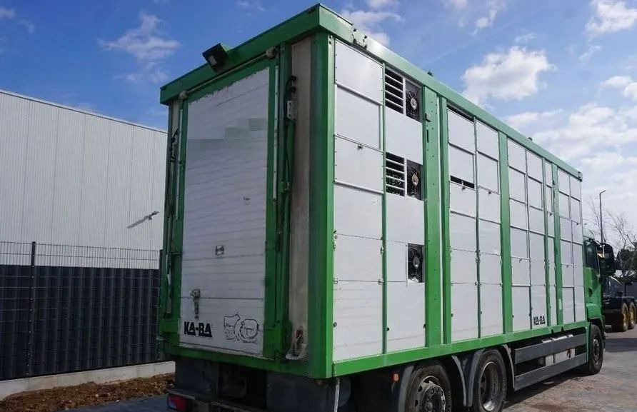 MAN TGS 26.440 ZABUDOWA KABA CAŁA ALUMINIOWA– samochód do transportu zwierząt/koni – 3 pokłady / EURO 5/6X2/PODNOSZONY DACH - За превоз на животни камион: снимка 2 MAN TGS 26.440 ZABUDOWA KABA CAŁA ALUMINIOWA– samochód do transportu zwierząt/koni – 3 pokłady / EURO 5/6X2/PODNOSZONY DACH - За превоз на животни камион: снимка 2