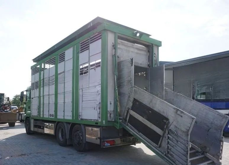 MAN TGS 26.440 ZABUDOWA KABA CAŁA ALUMINIOWA– samochód do transportu zwierząt/koni – 3 pokłady / EURO 5/6X2/PODNOSZONY DACH - За превоз на животни камион: снимка 4 MAN TGS 26.440 ZABUDOWA KABA CAŁA ALUMINIOWA– samochód do transportu zwierząt/koni – 3 pokłady / EURO 5/6X2/PODNOSZONY DACH - За превоз на животни камион: снимка 4