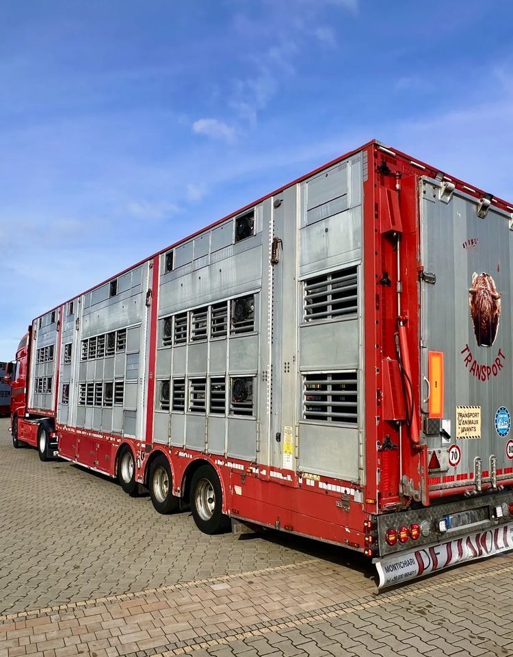 Pezzaioli NACZEPA 2017 / 3 POZIOMY / TRANSPORT ZWIERZĄT / HYDRAULIKA / STEROWANIE PILOTEM/ PODNOSZONY DACH / - За превоз на животни полуремарке: снимка 1 Pezzaioli NACZEPA 2017 / 3 POZIOMY / TRANSPORT ZWIERZĄT / HYDRAULIKA / STEROWANIE PILOTEM/ PODNOSZONY DACH / - За превоз на животни полуремарке: снимка 1