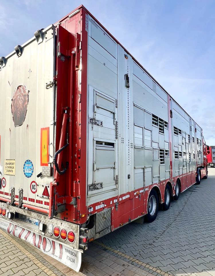 Pezzaioli NACZEPA 2017 / 3 POZIOMY / TRANSPORT ZWIERZĄT / HYDRAULIKA / STEROWANIE PILOTEM/ PODNOSZONY DACH / - За превоз на животни полуремарке: снимка 3 Pezzaioli NACZEPA 2017 / 3 POZIOMY / TRANSPORT ZWIERZĄT / HYDRAULIKA / STEROWANIE PILOTEM/ PODNOSZONY DACH / - За превоз на животни полуремарке: снимка 3