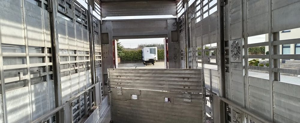 Лизинг на  Pezzaioli RBA 32/TRZYOSIOWA PRZYCZEPA-2XBYDŁO,3X TRZODA Pezzaioli RBA 32/TRZYOSIOWA PRZYCZEPA-2XBYDŁO,3X TRZODA: снимка 8