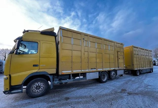 Volvo FH 420 • KABA • Transport Zwierząt 3xŚwinie/ 2xBydło 3-piętrowy • Euro 5 • Retarder • Oś podnoszona i skrętna - За превоз на животни камион: снимка 1 Volvo FH 420 • KABA • Transport Zwierząt 3xŚwinie/ 2xBydło 3-piętrowy • Euro 5 • Retarder • Oś podnoszona i skrętna - За превоз на животни камион: снимка 1