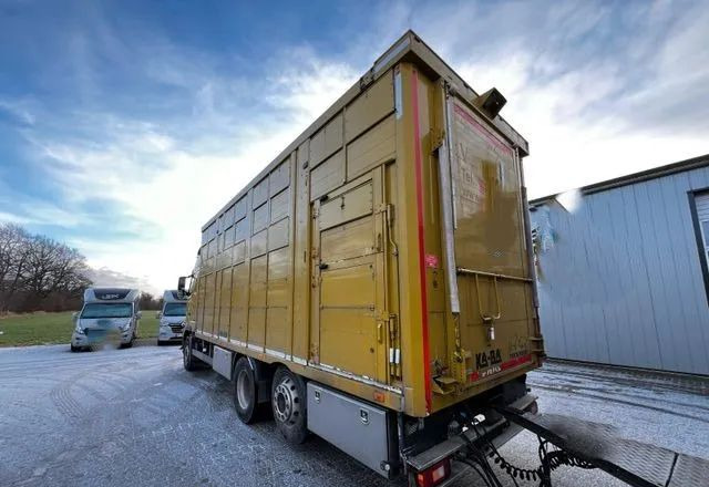 Volvo FH 420 • KABA • Transport Zwierząt 3xŚwinie/ 2xBydło 3-piętrowy • Euro 5 • Retarder • Oś podnoszona i skrętna - За превоз на животни камион: снимка 4 Volvo FH 420 • KABA • Transport Zwierząt 3xŚwinie/ 2xBydło 3-piętrowy • Euro 5 • Retarder • Oś podnoszona i skrętna - За превоз на животни камион: снимка 4