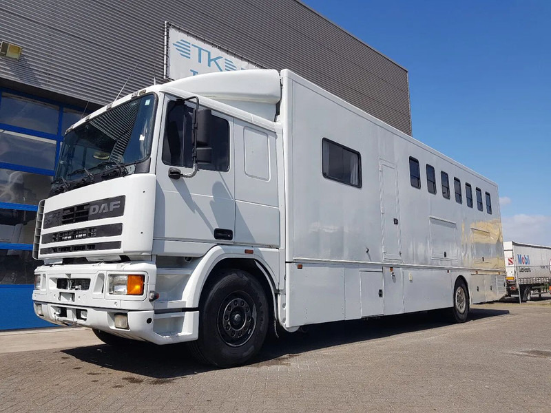 DAF 95.350 Paardenwagen met zitverblijf 7 paarden 7 horses - Камион за коне: снимка 1 DAF 95.350 Paardenwagen met zitverblijf 7 paarden 7 horses - Камион за коне: снимка 1