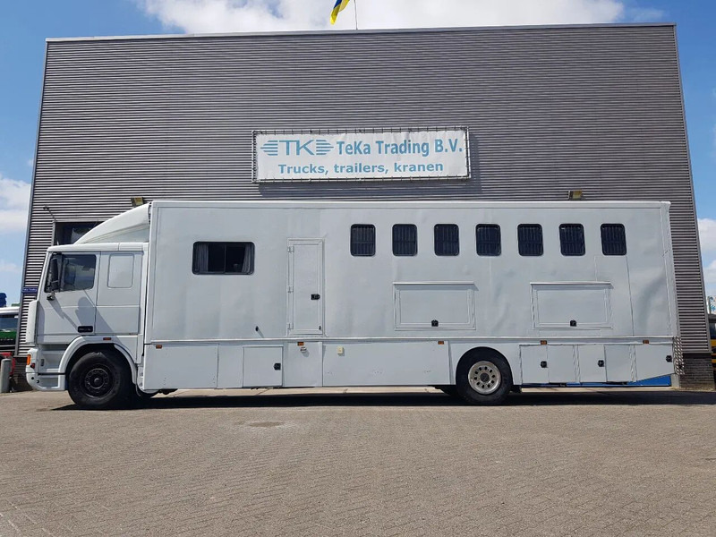 DAF 95.350 Paardenwagen met zitverblijf 7 paarden 7 horses - Камион за коне: снимка 3 DAF 95.350 Paardenwagen met zitverblijf 7 paarden 7 horses - Камион за коне: снимка 3