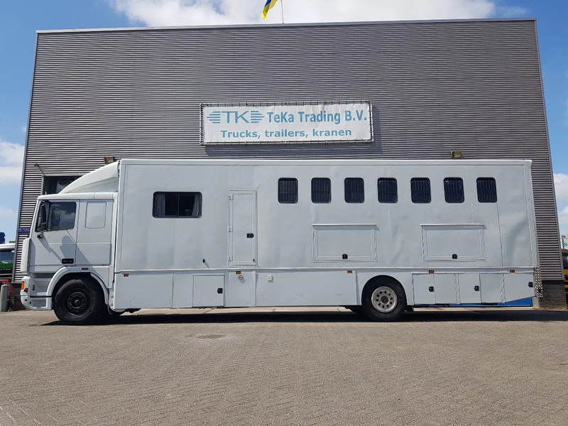 DAF 95.350 Paardenwagen met zitverblijf 7 paarden 7 horses - Камион за коне: снимка 3 DAF 95.350 Paardenwagen met zitverblijf 7 paarden 7 horses - Камион за коне: снимка 3