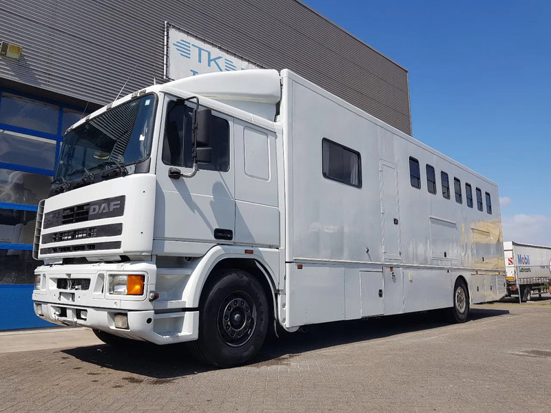 DAF 95.350 Paardenwagen met zitverblijf 7 paarden 7 horses - Камион за коне: снимка 1 DAF 95.350 Paardenwagen met zitverblijf 7 paarden 7 horses - Камион за коне: снимка 1