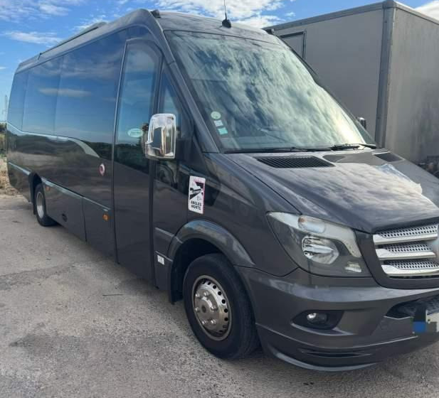 Mercedes-Benz SPICA / SPRINTER 519 / SPROWADZONY / KLIMA / TV - Туристически автобус: снимка 1 Mercedes-Benz SPICA / SPRINTER 519 / SPROWADZONY / KLIMA / TV - Туристически автобус: снимка 1