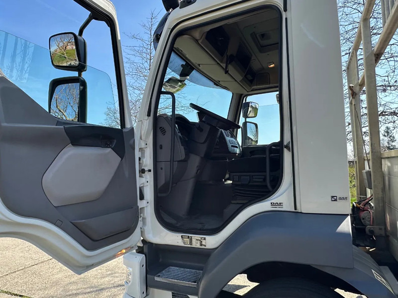 DAF LF 250 / NL TRUCK / EURO6 / LENGTE BAK 950cm / 12T - Автовоз камион: снимка 5 DAF LF 250 / NL TRUCK / EURO6 / LENGTE BAK 950cm / 12T - Автовоз камион: снимка 5