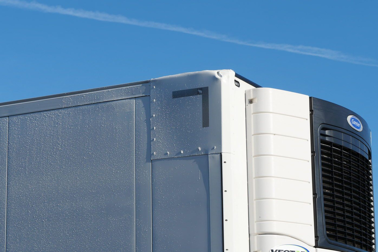 Затворена каросерия полуремарке Schmitz Cargobull SKO 18 /LBW BÄR 2500 kg / CARRIER 1550 / ROLLTOR: снимка 6 Затворена каросерия полуремарке Schmitz Cargobull SKO 18 /LBW BÄR 2500 kg / CARRIER 1550 / ROLLTOR: снимка 6