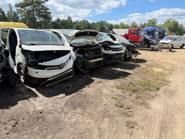 Toyota Proace L1 Kasten Meister ERSATZTEILENSPENDER - Малък ван: снимка 3 Toyota Proace L1 Kasten Meister ERSATZTEILENSPENDER - Малък ван: снимка 3