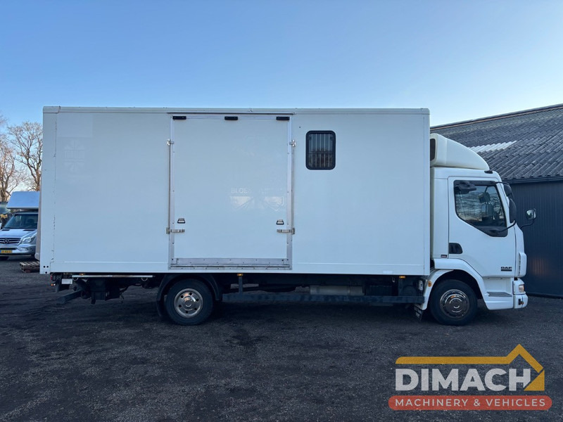 DAF FA LF45.150 4 paards, laadlift. Horsetruck NL truck - Камион за коне: снимка 4 DAF FA LF45.150 4 paards, laadlift. Horsetruck NL truck - Камион за коне: снимка 4