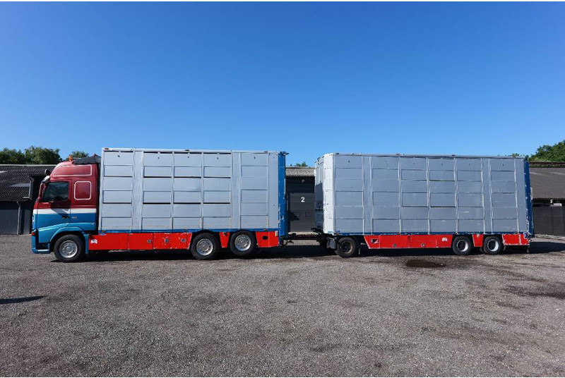 Volvo FH 13 480 6x2 3 stock livestock transport Cuppers - За превоз на животни камион: снимка 1 Volvo FH 13 480 6x2 3 stock livestock transport Cuppers - За превоз на животни камион: снимка 1