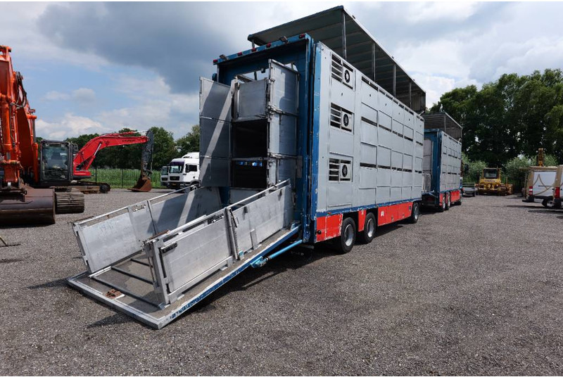 Volvo FH 13 480 6x2 3 stock livestock transport Cuppers - За превоз на животни камион: снимка 3 Volvo FH 13 480 6x2 3 stock livestock transport Cuppers - За превоз на животни камион: снимка 3