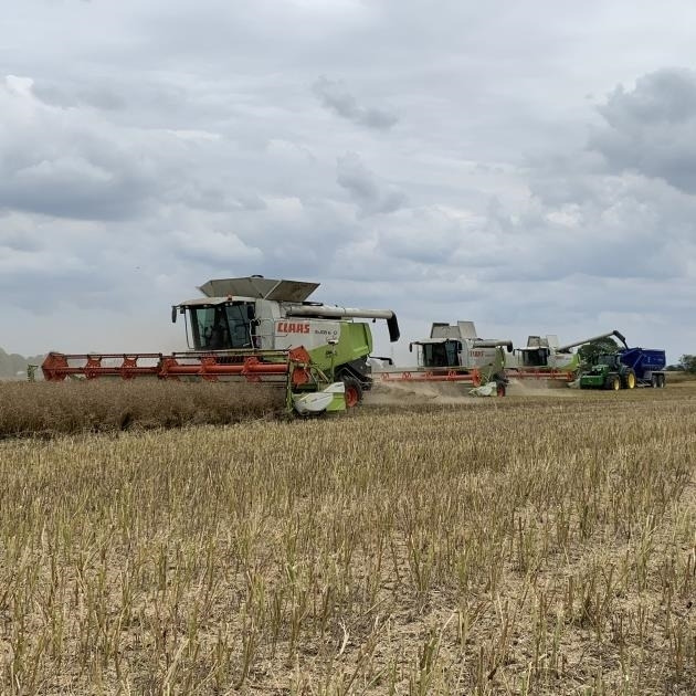 Grain Saver Grain Saver Chaser Bin *Hire* *Video Below* - Селскостопанско ремарке: снимка 4 Grain Saver Grain Saver Chaser Bin *Hire* *Video Below* - Селскостопанско ремарке: снимка 4