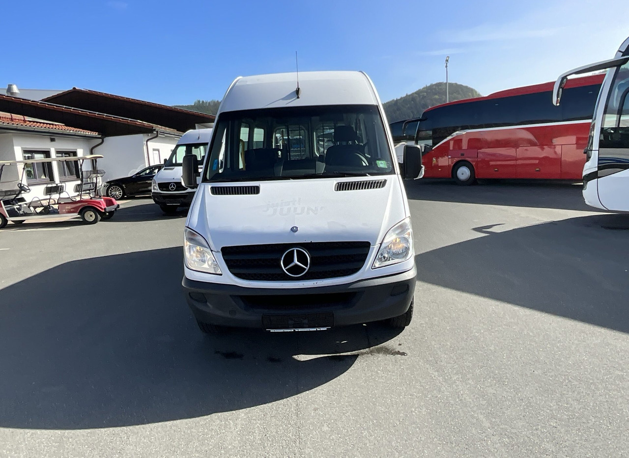 Микробус, Пътнически бус Mercedes-Benz 313 CDI Sprinter: снимка 7