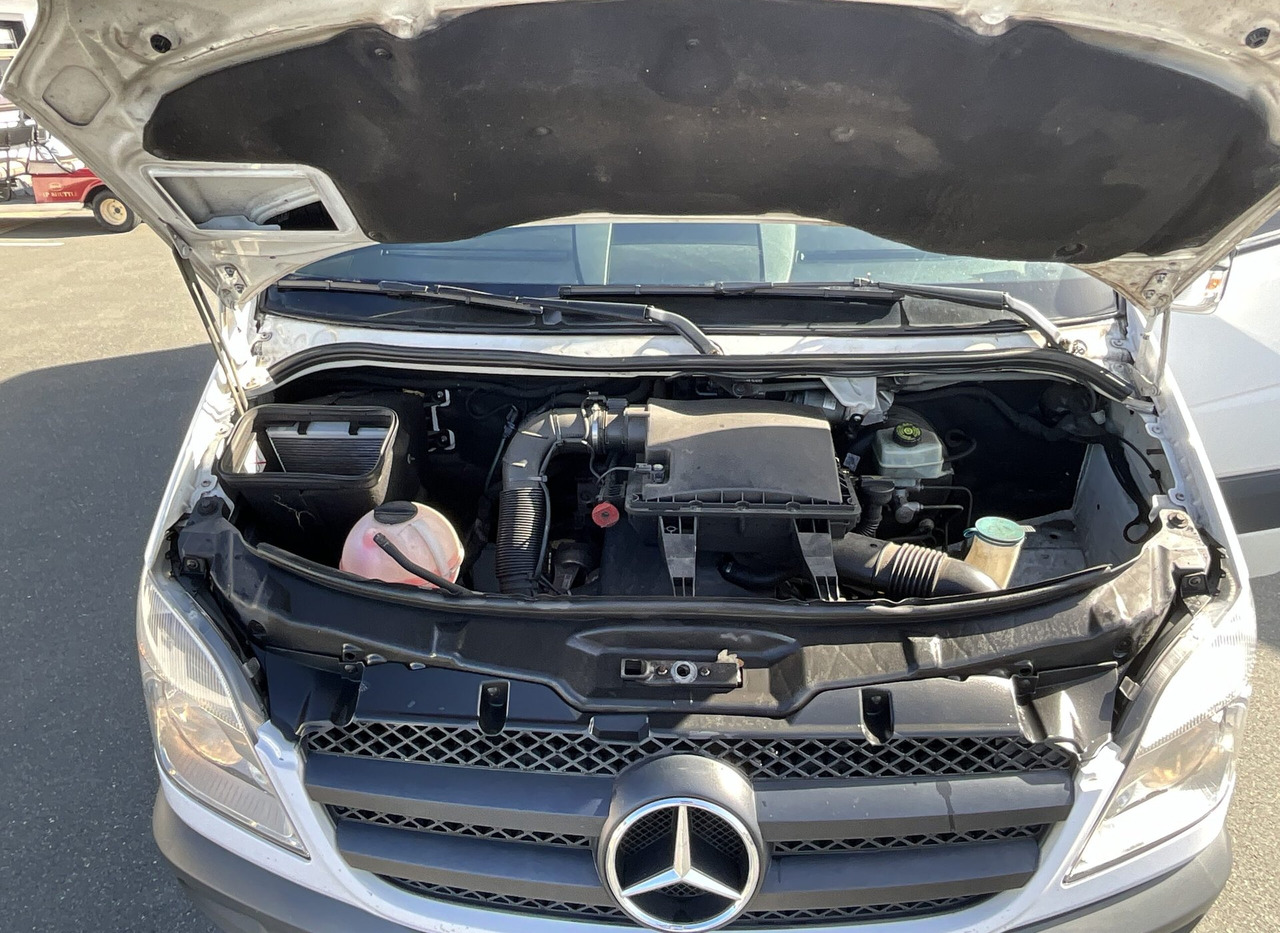 Микробус, Пътнически бус Mercedes-Benz 313 CDI Sprinter: снимка 8