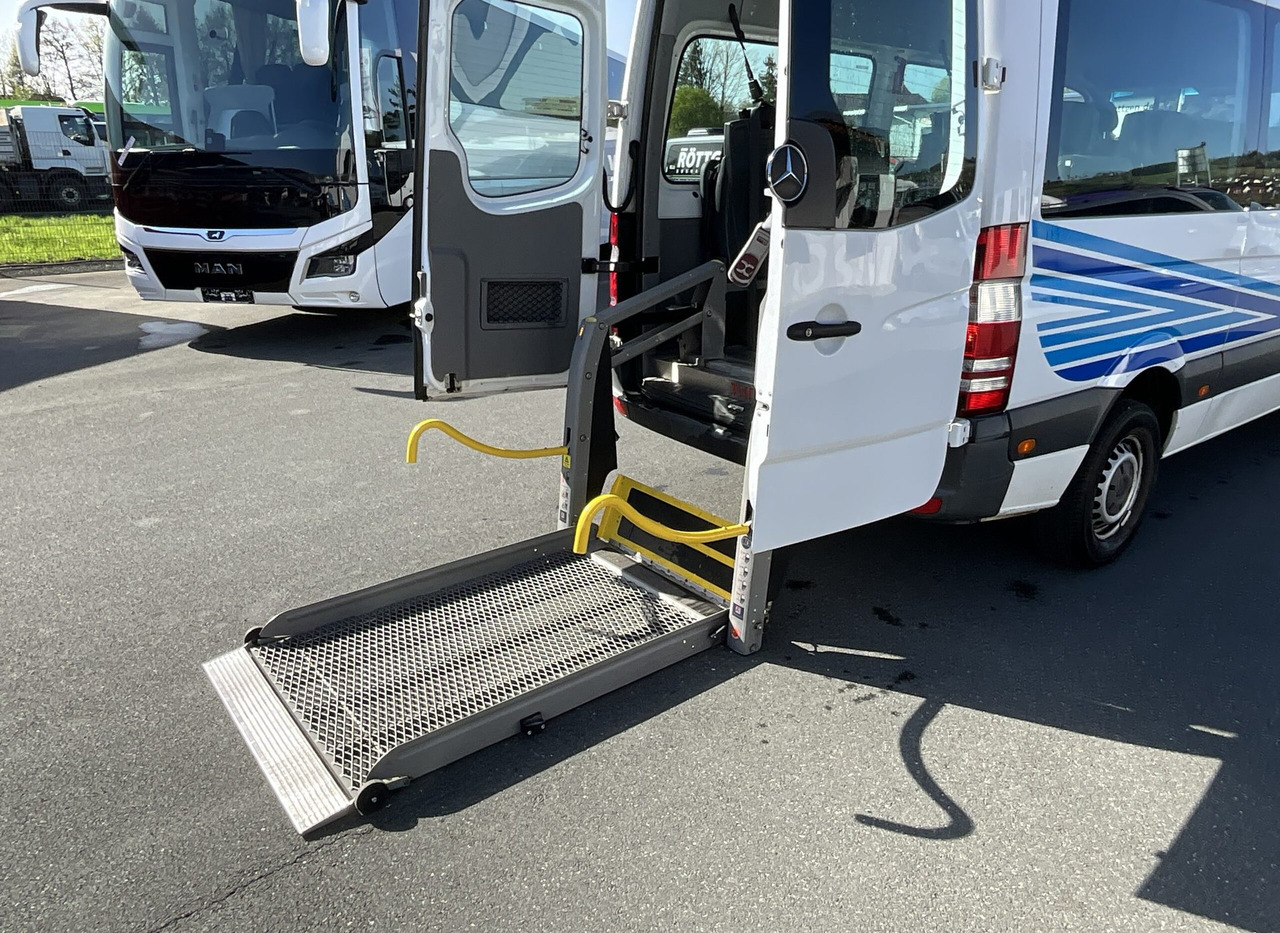 Микробус, Пътнически бус Mercedes-Benz 313 CDI Sprinter: снимка 12