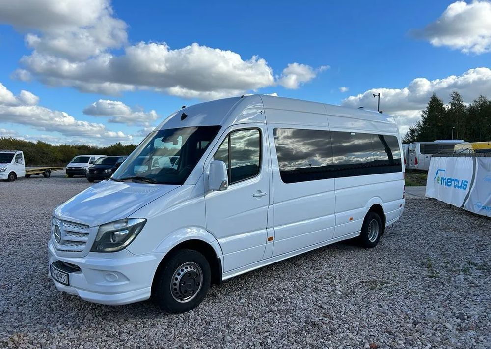 Mercedes-Benz Sprinter 519 - Микробус, Пътнически бус: снимка 3 Mercedes-Benz Sprinter 519 - Микробус, Пътнически бус: снимка 3