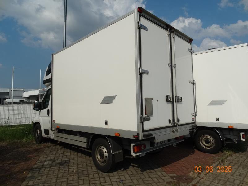 FIAT DUCATO CHŁODNIA/IZOTERMA - Хладилен бус: снимка 3 FIAT DUCATO CHŁODNIA/IZOTERMA - Хладилен бус: снимка 3