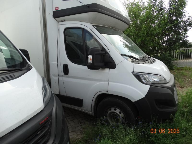 FIAT DUCATO CHŁODNIA/IZOTERMA - Хладилен бус: снимка 1 FIAT DUCATO CHŁODNIA/IZOTERMA - Хладилен бус: снимка 1