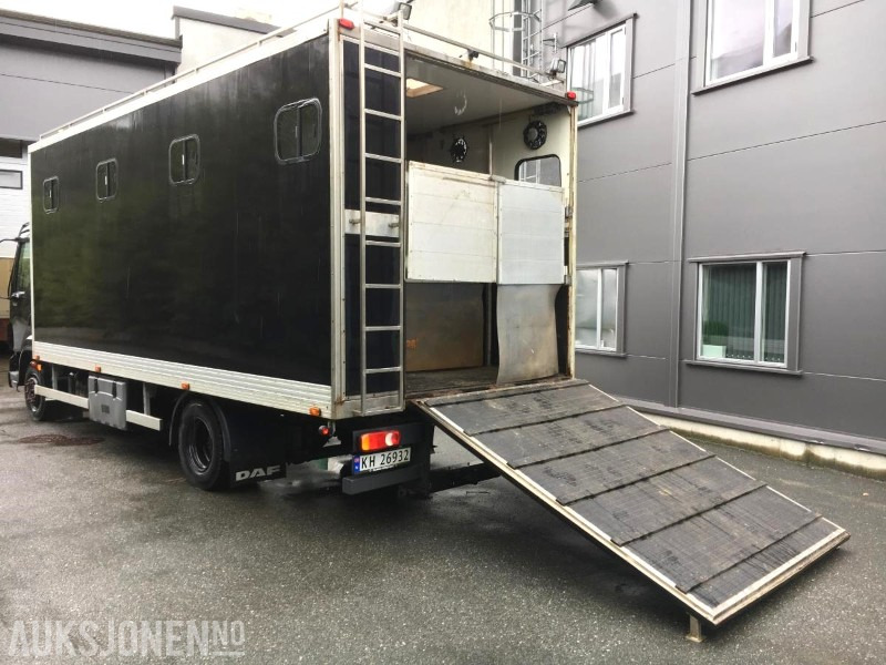 2004 DAF LF 45.220 - Hestebil / Transportbil, 202552km - Комунална/ Специална техника: снимка 2 2004 DAF LF 45.220 - Hestebil / Transportbil, 202552km - Комунална/ Специална техника: снимка 2