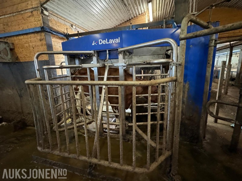 2013 DeLaval VMS melkerobot med 1 kraftfôrstasjon FSC40 - Høyre utgave - Steam - Innredning og grinder foran - Vakuumpumpe - Fortsatt i daglig drift - Селскостопанска техника: снимка 4 2013 DeLaval VMS melkerobot med 1 kraftfôrstasjon FSC40 - Høyre utgave - Steam - Innredning og grinder foran - Vakuumpumpe - Fortsatt i daglig drift - Селскостопанска техника: снимка 4