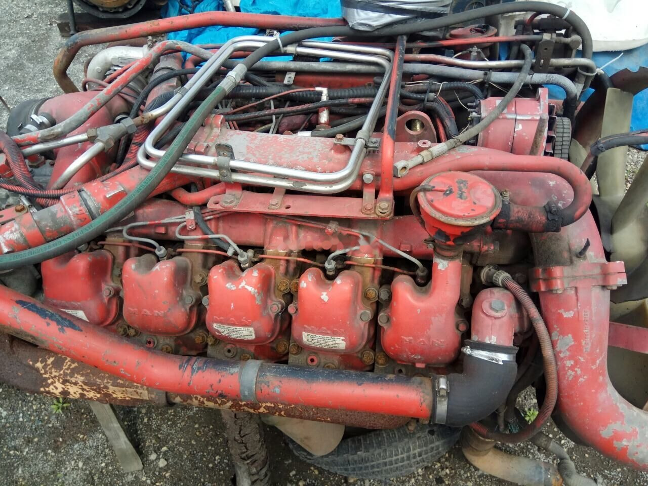 MAN D2840 LF01 MAN F 2000 - Двигател за Камион: снимка 1 MAN D2840 LF01 MAN F 2000 - Двигател за Камион: снимка 1