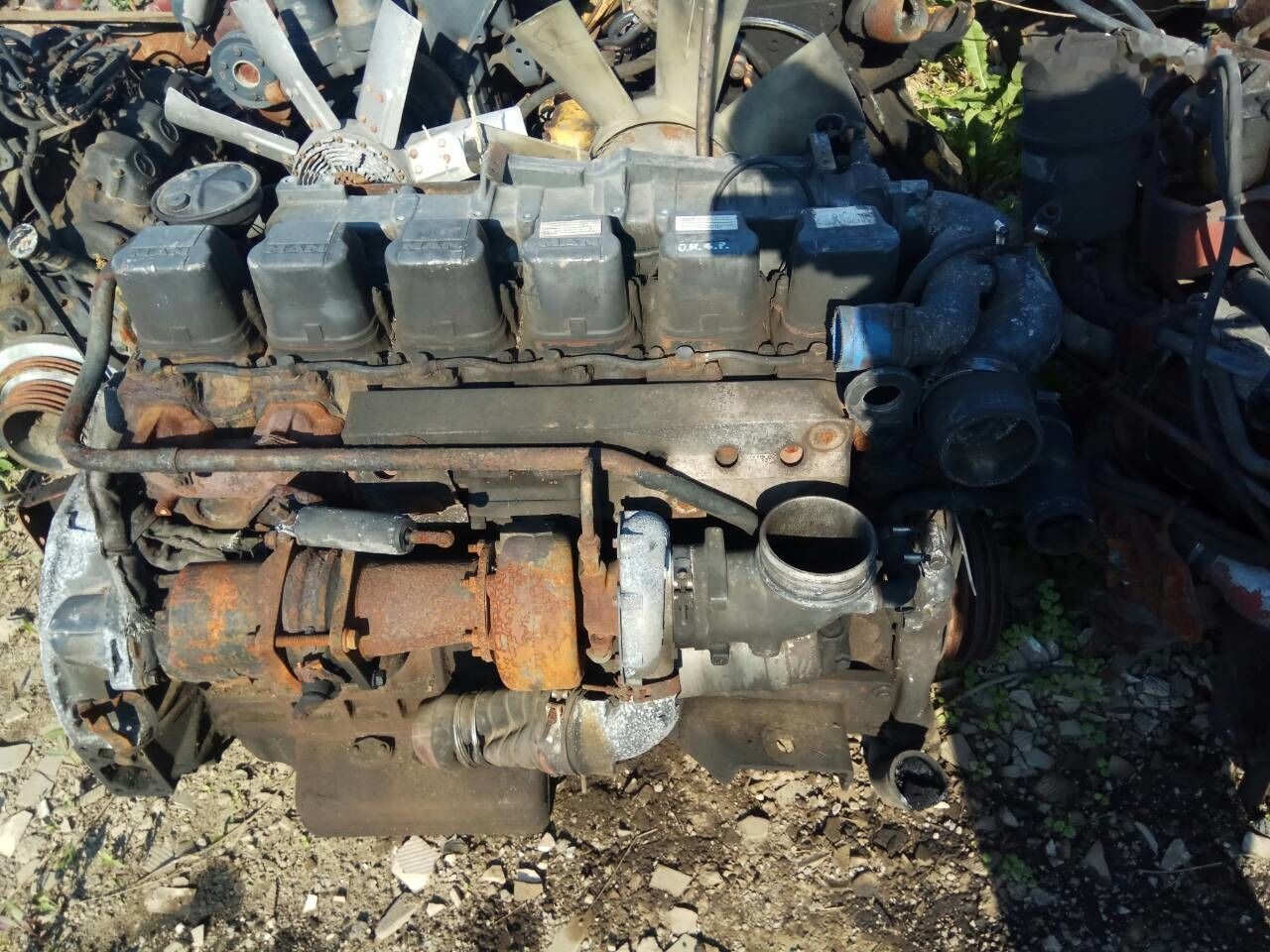 MAN D2876LOH MAN - Двигател за Автобус: снимка 1 MAN D2876LOH MAN - Двигател за Автобус: снимка 1