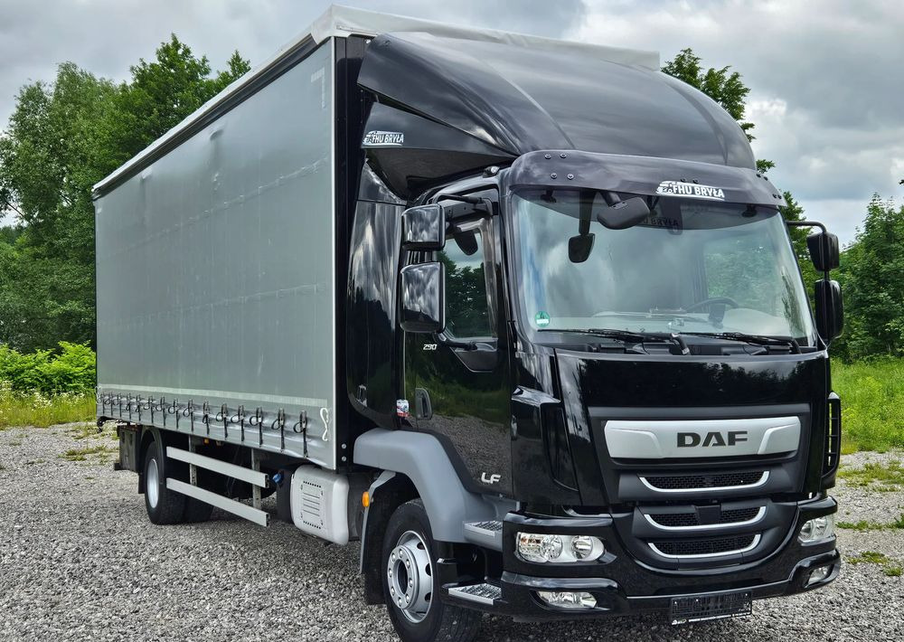 DAF LF 290 / WINDA / 16TON DMC / FIRANKA / AUTOMAT / JEDEN WŁAŚCICIE / EURO 6 / 2019 / SPROWADZONY / 20PALET / NISKI PRZEBIEG / DUŻA ŁADOWNOŚĆ / JAK NOWY - Камион с брезент: снимка 3 DAF LF 290 / WINDA / 16TON DMC / FIRANKA / AUTOMAT / JEDEN WŁAŚCICIE / EURO 6 / 2019 / SPROWADZONY / 20PALET / NISKI PRZEBIEG / DUŻA ŁADOWNOŚĆ / JAK NOWY - Камион с брезент: снимка 3