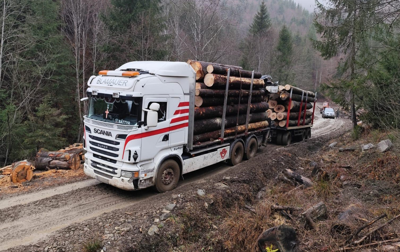 SCANIA R560 V8 - Камион за дърва, Камион с кран: снимка 2 SCANIA R560 V8 - Камион за дърва, Камион с кран: снимка 2