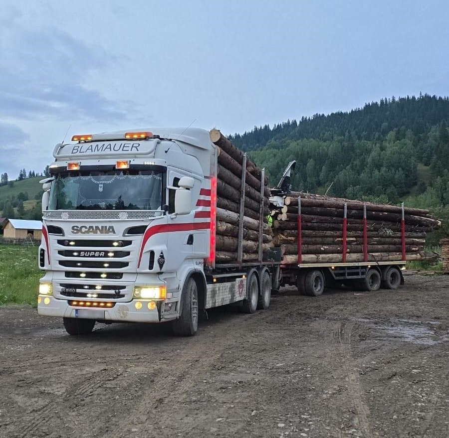 SCANIA R560 V8 - Камион за дърва, Камион с кран: снимка 1 SCANIA R560 V8 - Камион за дърва, Камион с кран: снимка 1