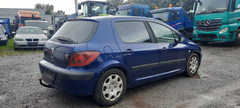 Peugeot 307 Grand Filou - Хечбек: снимка 3 Peugeot 307 Grand Filou - Хечбек: снимка 3