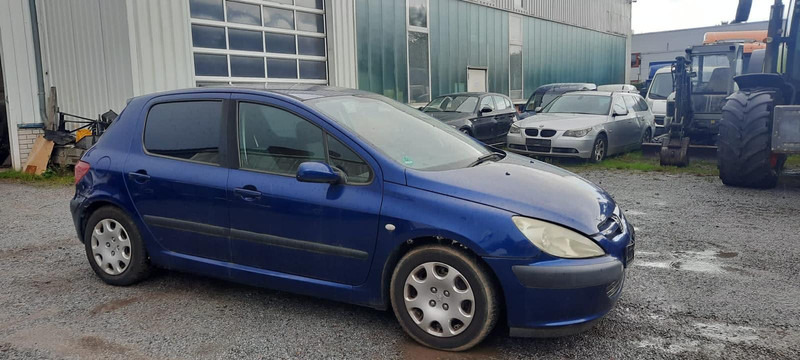 Peugeot 307 Grand Filou - Хечбек: снимка 2 Peugeot 307 Grand Filou - Хечбек: снимка 2