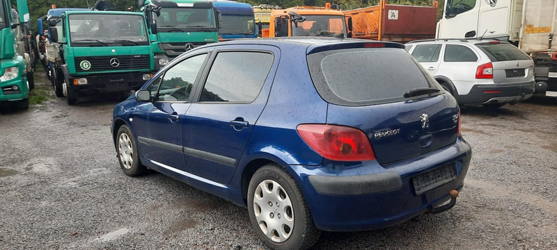 Peugeot 307 Grand Filou - Хечбек: снимка 1 Peugeot 307 Grand Filou - Хечбек: снимка 1