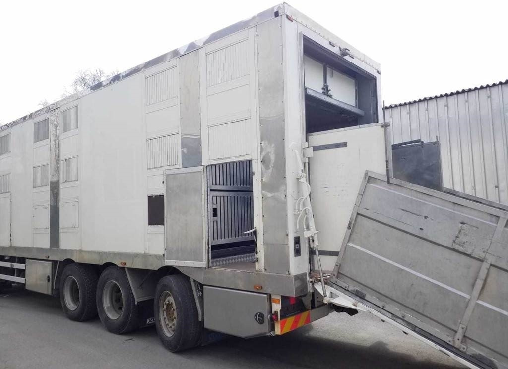 MAN TGX 35.540 8X4 TRIDEM ANIMAL - За превоз на животни камион: снимка 5 MAN TGX 35.540 8X4 TRIDEM ANIMAL - За превоз на животни камион: снимка 5