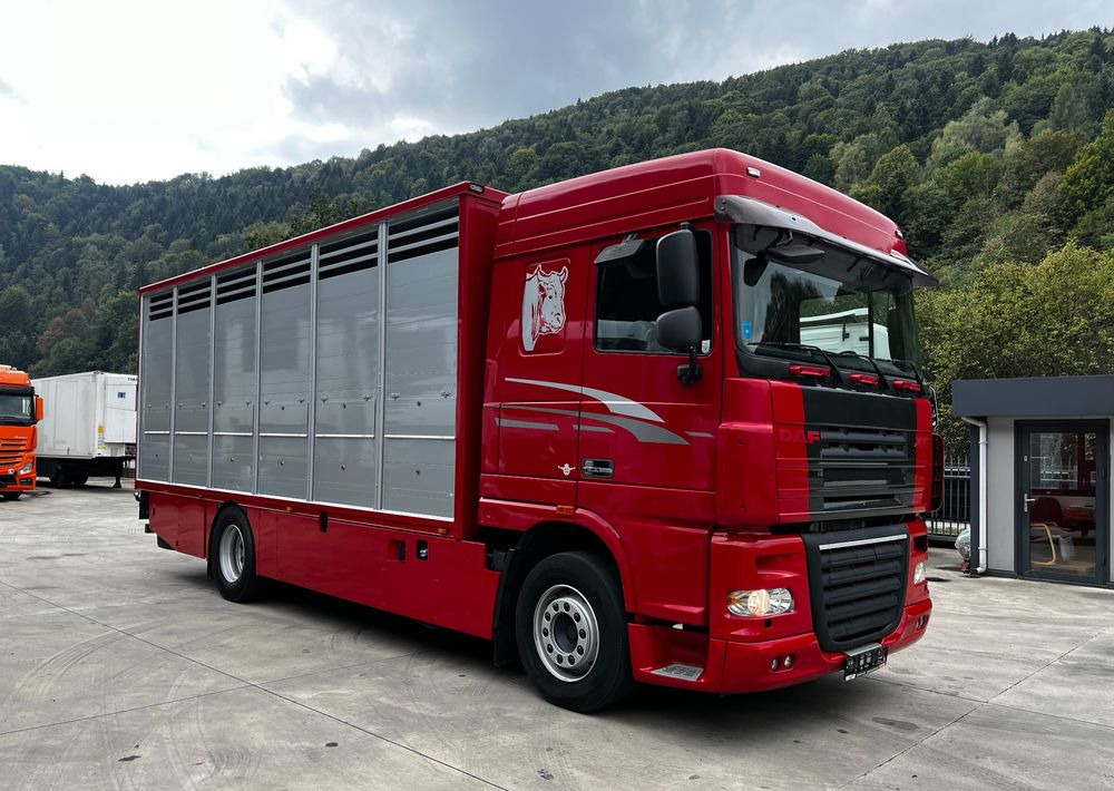 DAF XF 105.460 Euro 5 // Manual // Retarder // Do Żywca / Bydła / Zwierząt / - За превоз на животни камион: снимка 2 DAF XF 105.460 Euro 5 // Manual // Retarder // Do Żywca / Bydła / Zwierząt / - За превоз на животни камион: снимка 2