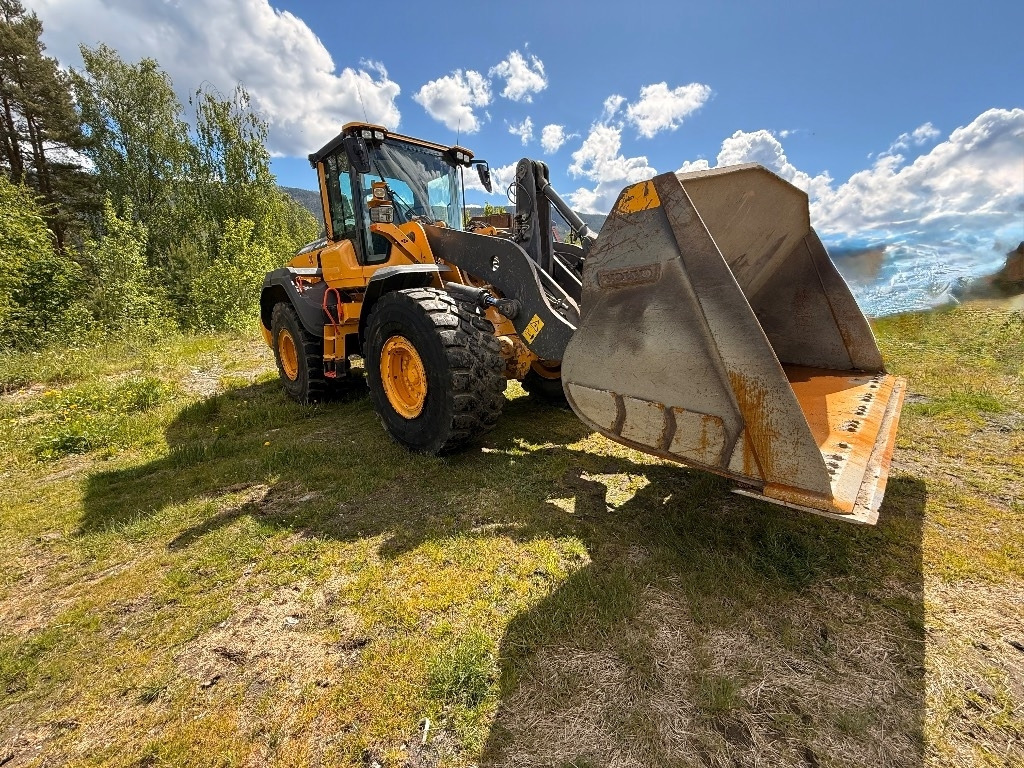 Колесен товарач Volvo L 110 H: снимка 6