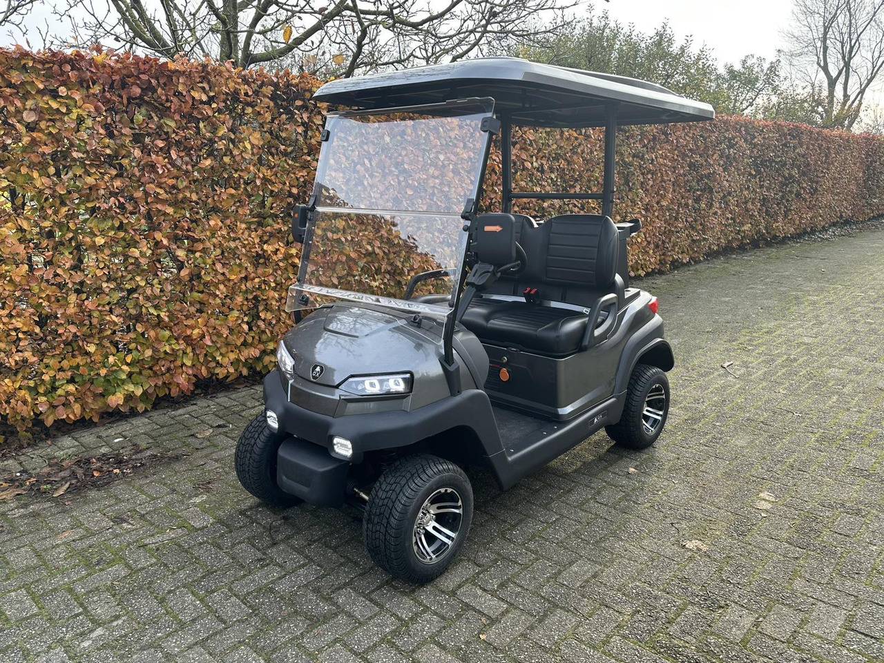 OX ZG2 2-zit Golfkar Grijs (Demo) - Голф количка: снимка 1 OX ZG2 2-zit Golfkar Grijs (Demo) - Голф количка: снимка 1