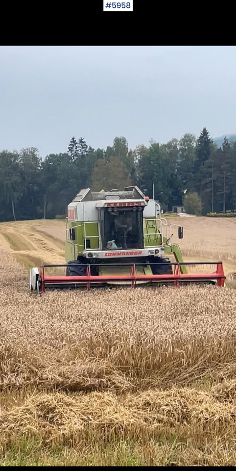 1993 Claas Commandor 228 CS - Зърнокомбайн: снимка 3 1993 Claas Commandor 228 CS - Зърнокомбайн: снимка 3