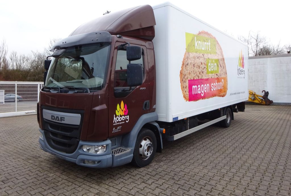 DAF LF 220 Koffer mit Palfinger LBW 4x2 - Лекотоварен автомобил фургон: снимка 2 DAF LF 220 Koffer mit Palfinger LBW 4x2 - Лекотоварен автомобил фургон: снимка 2